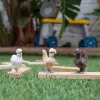 Žaislų figūrėlės Schleich FARM WORLD Chicken Friends Daugiaspalvė 42574