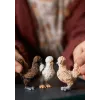 Žaislų figūrėlės Schleich FARM WORLD Chicken Friends Daugiaspalvė 42574