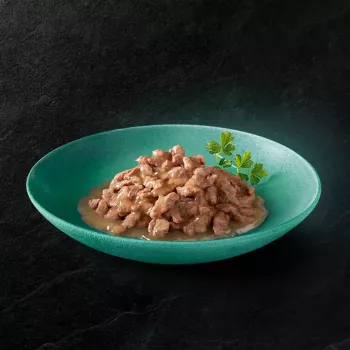 Šlapias kačių maistas Sheba Kitten Selection of Flavors in Sauce 40×85 g — šlapias maistas jauniems kačiukams, 40 pakelių po 85 g, 3,4 kg, vištienos skonio