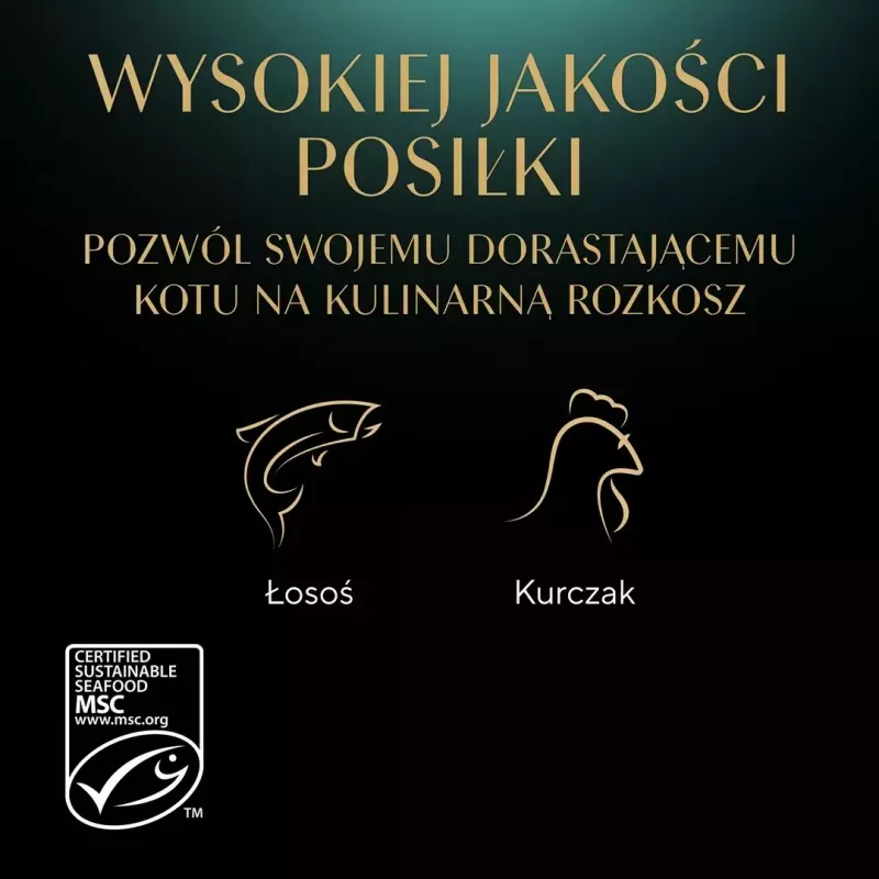 Šlapias kačių maistas Sheba Kitten Selection of Flavors in Sauce 40×85 g — šlapias maistas jauniems kačiukams, 40 pakelių po 85 g, 3,4 kg, vištienos skonio