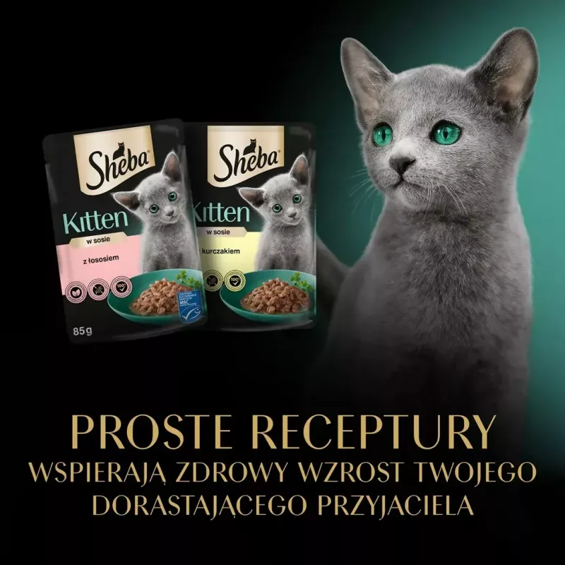Šlapias kačių maistas Sheba Kitten Selection of Flavors in Sauce 40×85 g — šlapias maistas jauniems kačiukams, 40 pakelių po 85 g, 3,4 kg, vištienos skonio