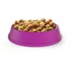 Sausas kačių maistas Whiskas Adult Chicken 14 kg — baltymai 30%, riebalai 12%, ląsteliena 2%