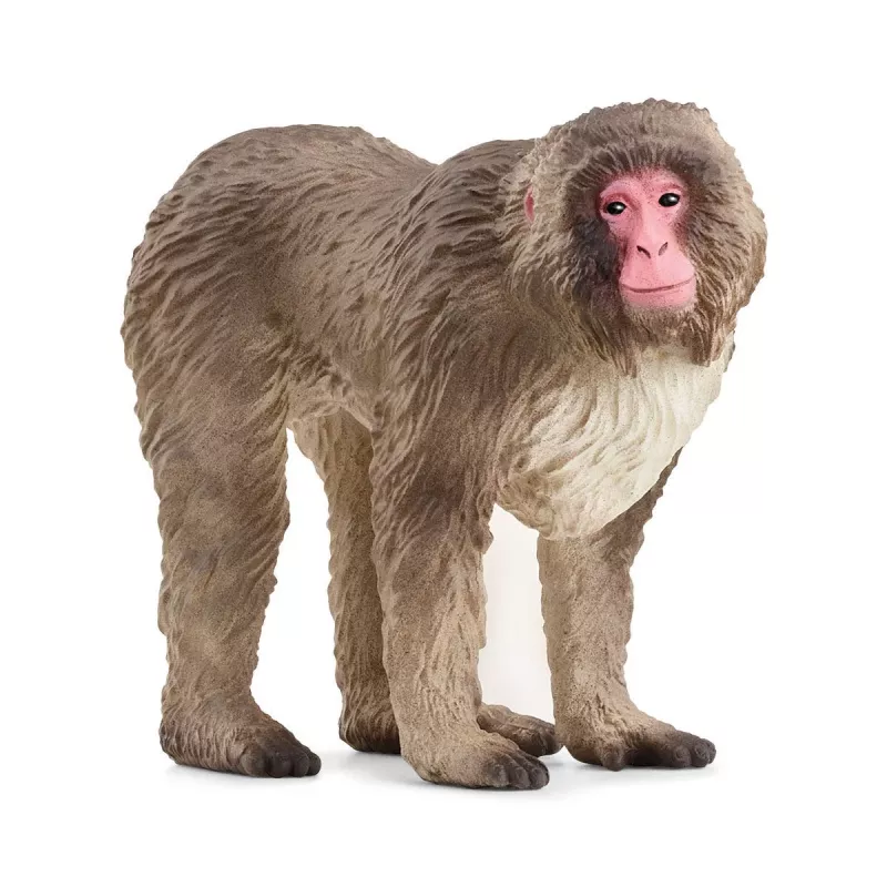 Figūrėlė Schleich WILD LIFE Japoninis makakas Smėlio Ruda Rožinė 14871