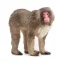 Figūrėlė Schleich WILD LIFE Japoninis makakas Smėlio Ruda Rožinė 14871