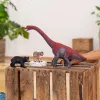 Figūrėlė Schleich WILD LIFE Japoninis makakas Smėlio Ruda Rožinė 14871