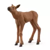 Figūrėlių rinkinys Schleich WILD LIFE Briedžių šeima — tikroviškos gyvūnų figūrėlės, 3+ metų, įvairiaspalvis