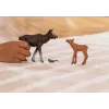 Figūrėlių rinkinys Schleich WILD LIFE Briedžių šeima — tikroviškos gyvūnų figūrėlės, 3+ metų, įvairiaspalvis