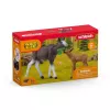 Figūrėlių rinkinys Schleich WILD LIFE Briedžių šeima — tikroviškos gyvūnų figūrėlės, 3+ metų, įvairiaspalvis