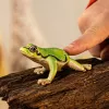 schleich WILD LIFE Europinė medvarlė, 3 m., Miškas, Laukinių gyvūnų / nuotykių žaislai, Įvairiaspalvis