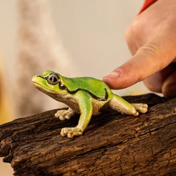 schleich WILD LIFE Europinė medvarlė, 3 m., Miškas, Laukinių gyvūnų / nuotykių žaislai, Įvairiaspalvis