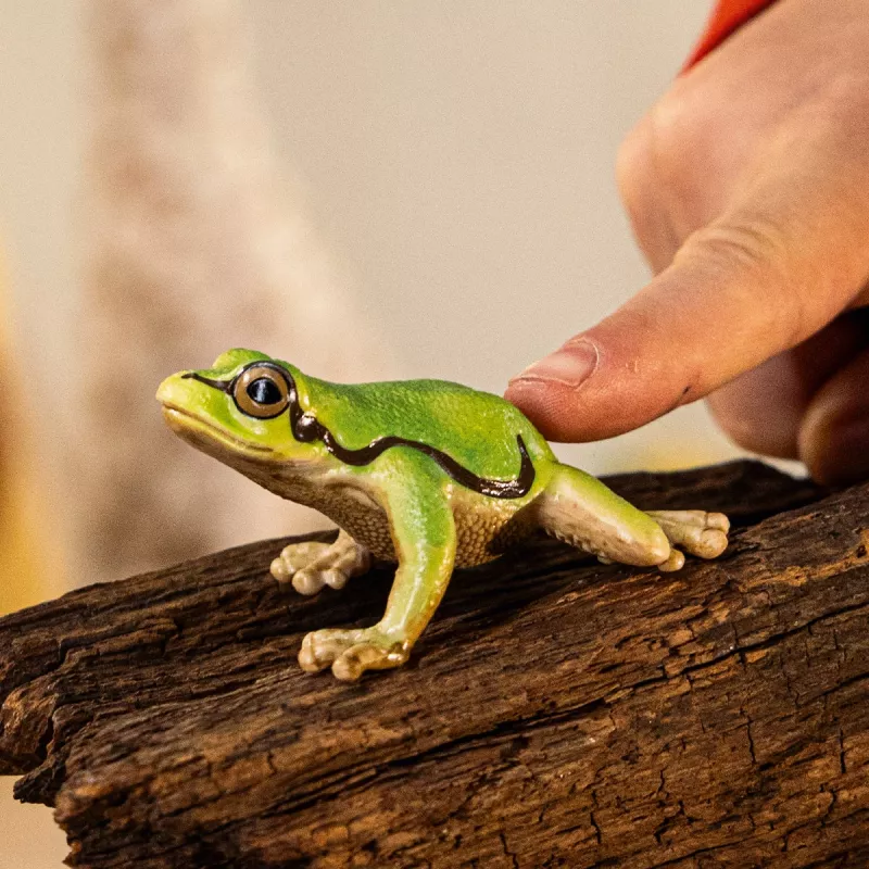 schleich WILD LIFE Europinė medvarlė, 3 m., Miškas, Laukinių gyvūnų / nuotykių žaislai, Įvairiaspalvis