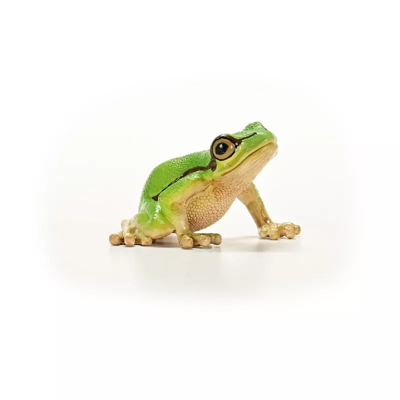schleich WILD LIFE Europinė medvarlė, 3 m., Miškas, Laukinių gyvūnų / nuotykių žaislai, Įvairiaspalvis