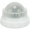 Katės žaislas Trixie TRIXIE 42242 su katžole žalias baltas 5 cm, technopolimeras, pilna lipni nugarėlė
