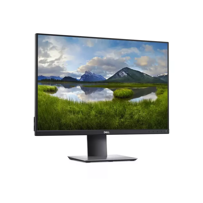 DELL P Series P2421 kompiuterio monitorius 61,2 cm (24,1 colio) 1920 x 1200 pikselių WUXGA LCD juodas