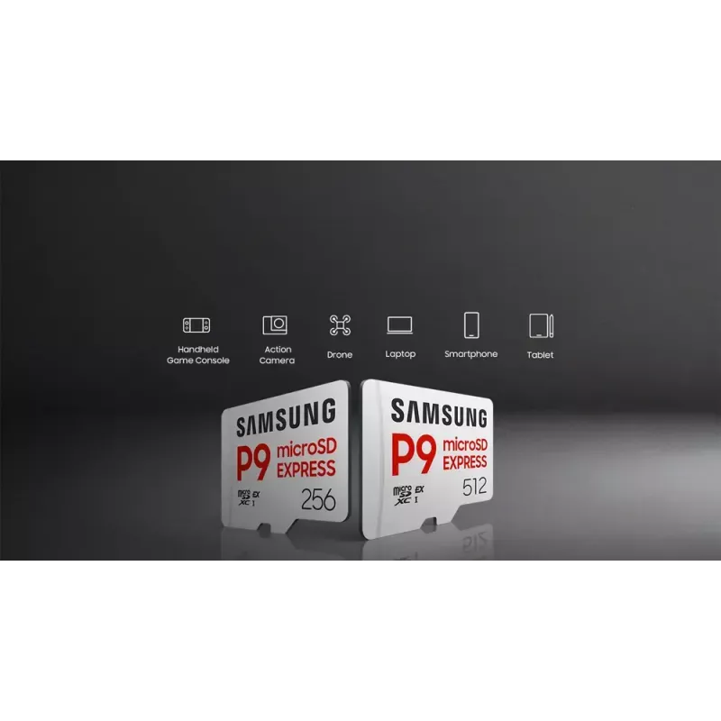„microSDXC“ atminties kortelė „Samsung P9 Express“ 256 GB – UHS-I, skaitymo greitis 800 MB/s, V30, U1, patvari