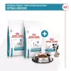 Hipoalerginiai šunų skanėstai Royal Canin 230 g — paukštienos dresavimo užkandžiai, be glitimo ir cukraus, suaugusiems šunims