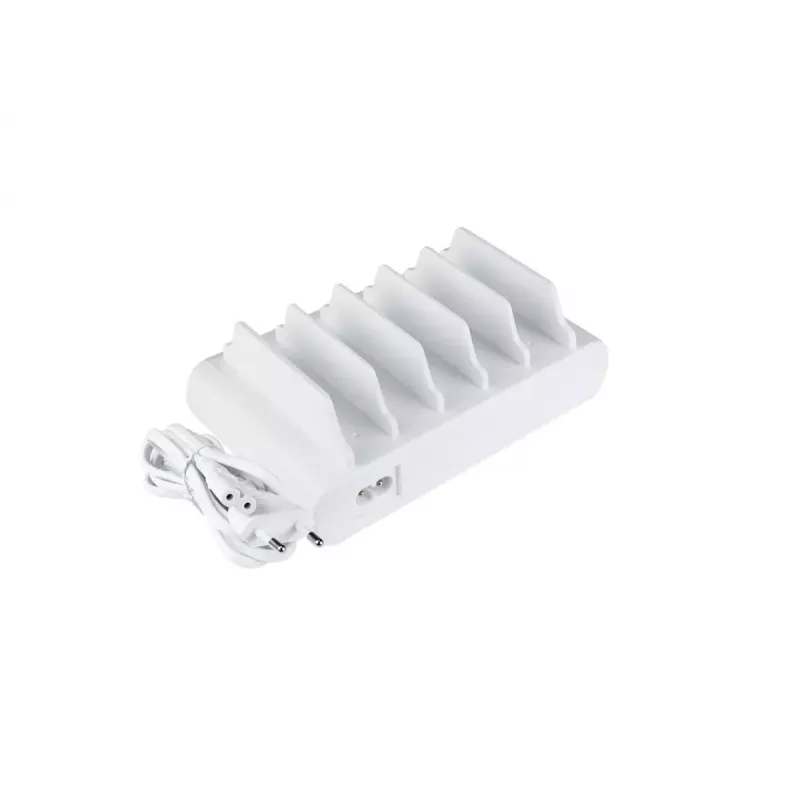 Laisvai stovinti įkrovimo stotelė Alcasa PCA-D006W balta 110W 100-240V