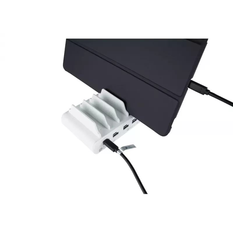 Laisvai stovinti įkrovimo stotelė Alcasa PCA-D006W balta 110W 100-240V