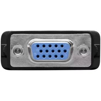 DVI-A/VGA monitoriaus adapteris Goobay 69971 juodas