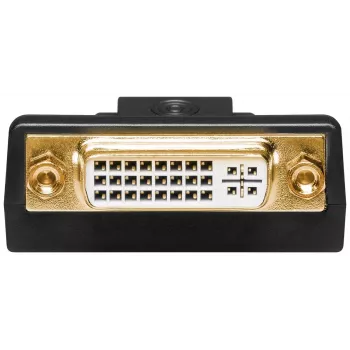 Goobay DisplayPort/DVI-D adapteris 1.1 auksuotas Juoda