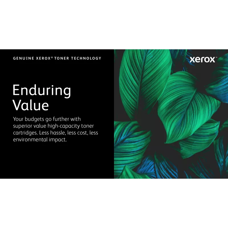 Xerox Genuine ® VersaLink® C600 spalvoto spausdintuvo / C605 spalvoto daugiafunkcio spausdintuvo žydra standartinės talpos tonerio kasetė (6000 puslapių) - 106R03896