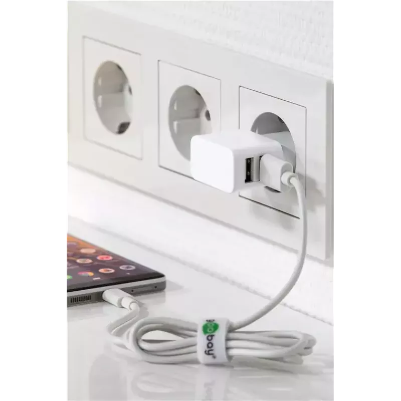 Vidinis įkroviklis Wentronic 44979