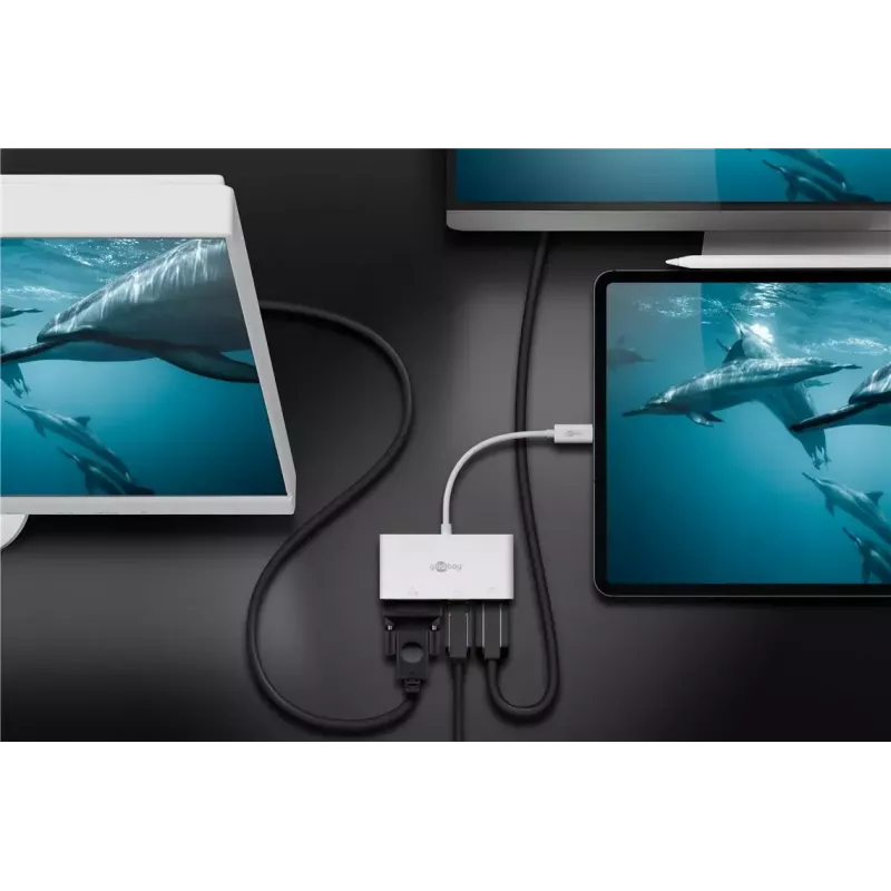 USB grafikos adapteris Goobay 52412 Baltas
