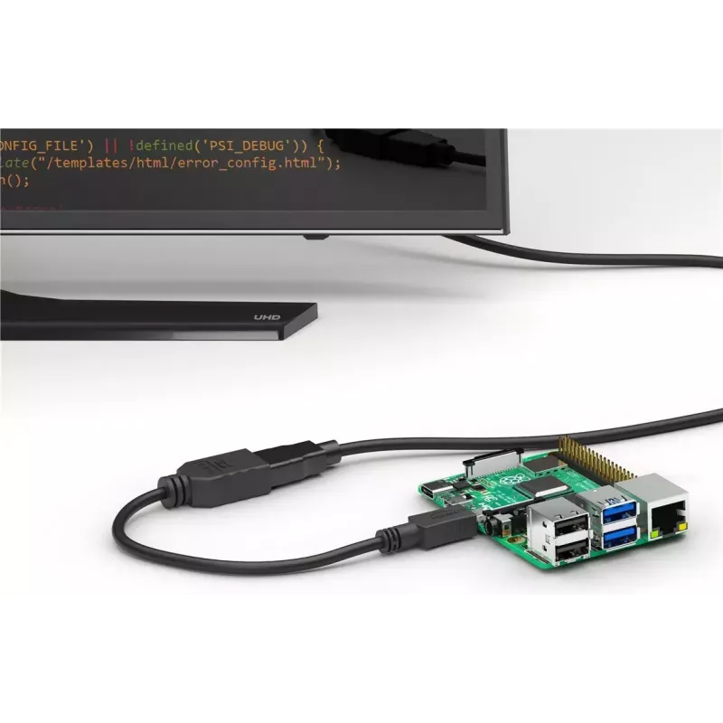 HDMI laidas Wentronic 58683 0,15 m D tipo Micro į A tipo standartinį, juodas
