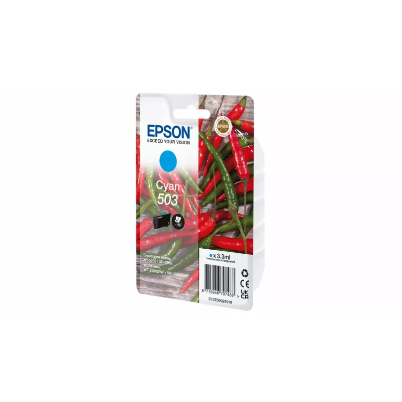 Epson 503 rašalo kasetė 1 vnt. Originali standartinės talpos mėlyna