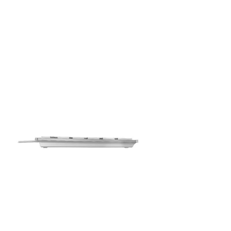 CHERRY KC 6000 plonas klaviatūra universali USB AZERTY belgiška sidabrinė, balta