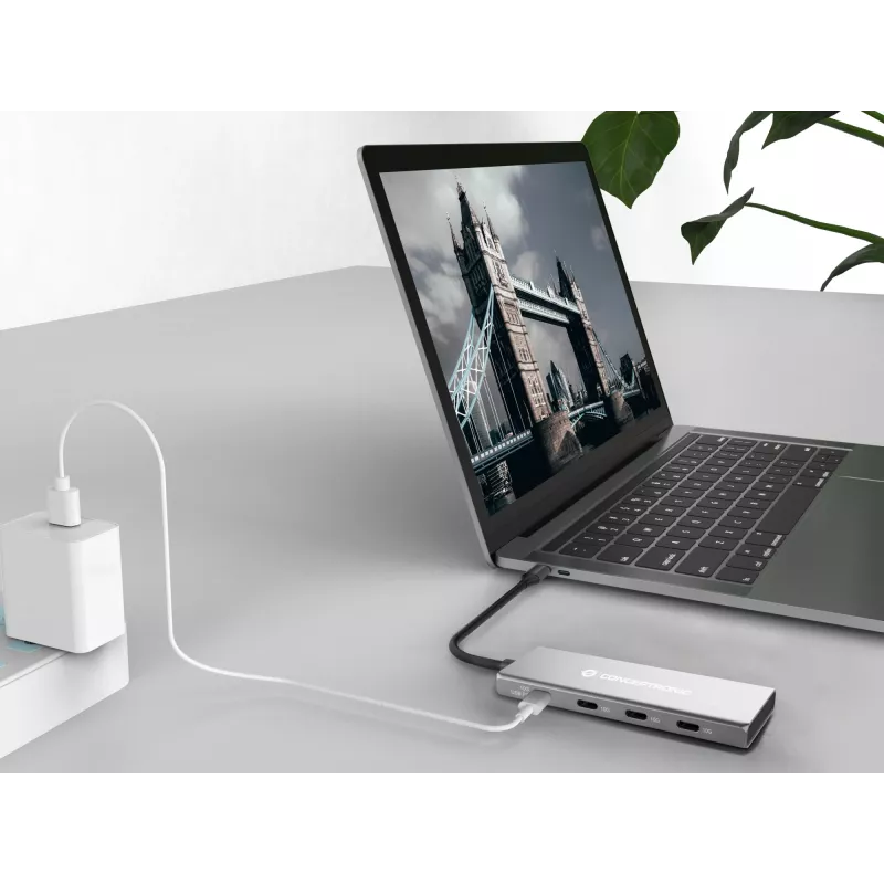Conceptronic HUBBIES16G sąsajos šakotuvas USB 3.2 Gen 2 (3.1 Gen 2) Type-C 10000 Mbit/s pilka