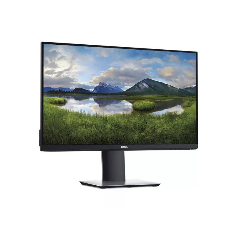 DELL P2419H kompiuterio monitorius 61 cm (24 col.) 1920 x 1080 pikselių Full HD LCD juodas