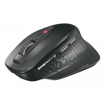 CHERRY Stream ultimate pelė universali Dešiniarankiams RF belaidė + Bluetooth + USB Type-C 4000 DPI