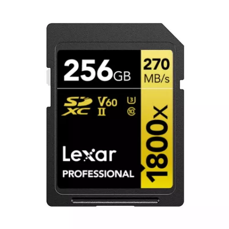 Atminties kortelė Lexar 256GB SDXC Class 10 LSD1800256G-BNNNG