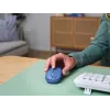 Trust Yvi+ pelė universali abiem rankoms tinkama RF belaidė + Bluetooth optinė 1600 DPI