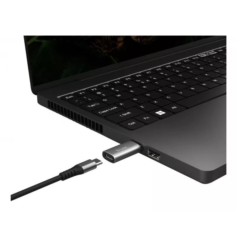 Trust Calyx USB Type-C USB Type-A pilka jungtis 1 USB Type-C jungtis 2 USB Type-A
