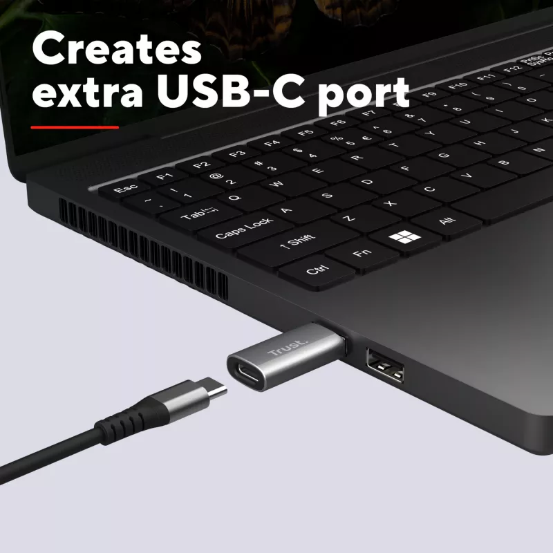 Trust Calyx USB Type-C USB Type-A pilka jungtis 1 USB Type-C jungtis 2 USB Type-A