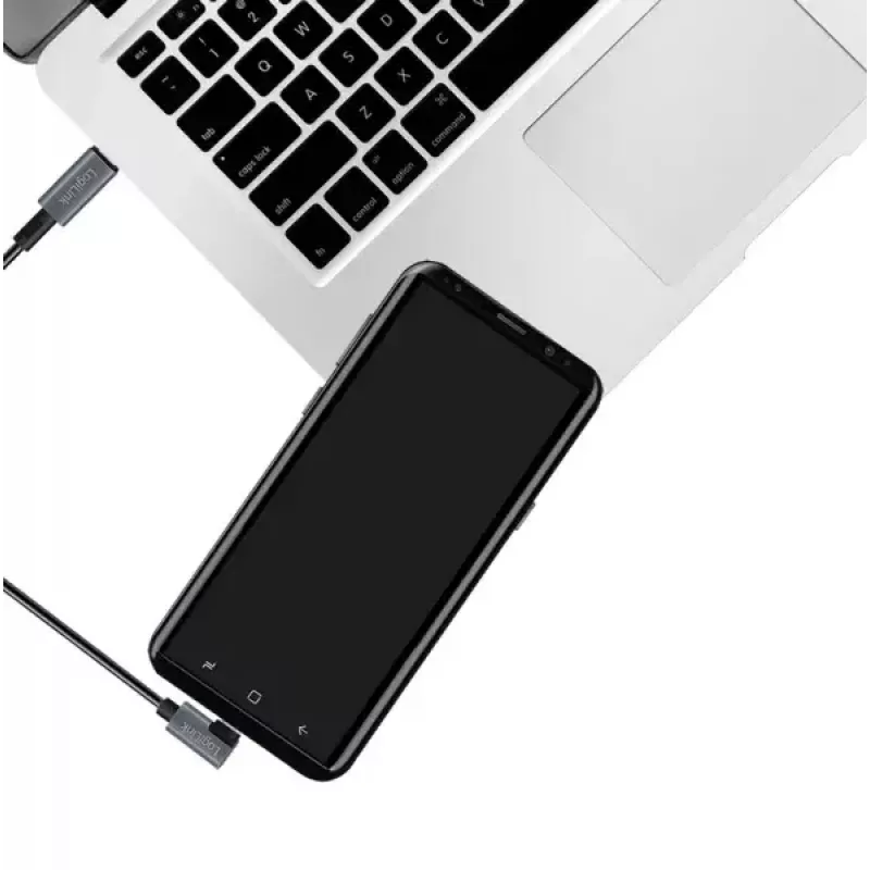 LogiLink CU0182 USB laidas USB 2.0 1m USB C juoda sidabrinė