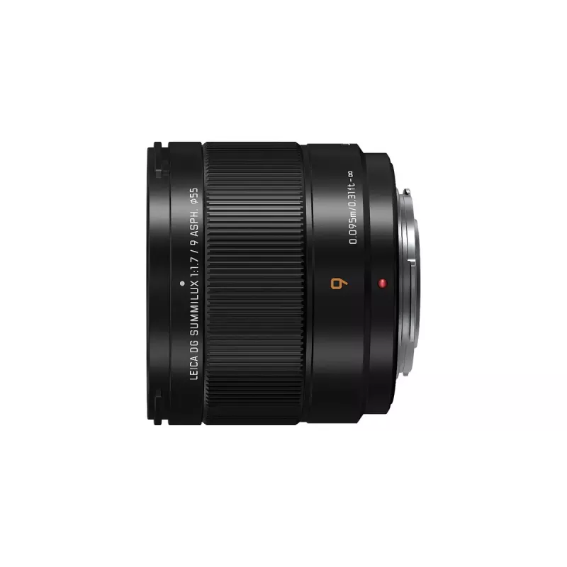 Itin plataus kampo objektyvas Panasonic H-X09 12 elementų 0,25 karto juodos spalvos