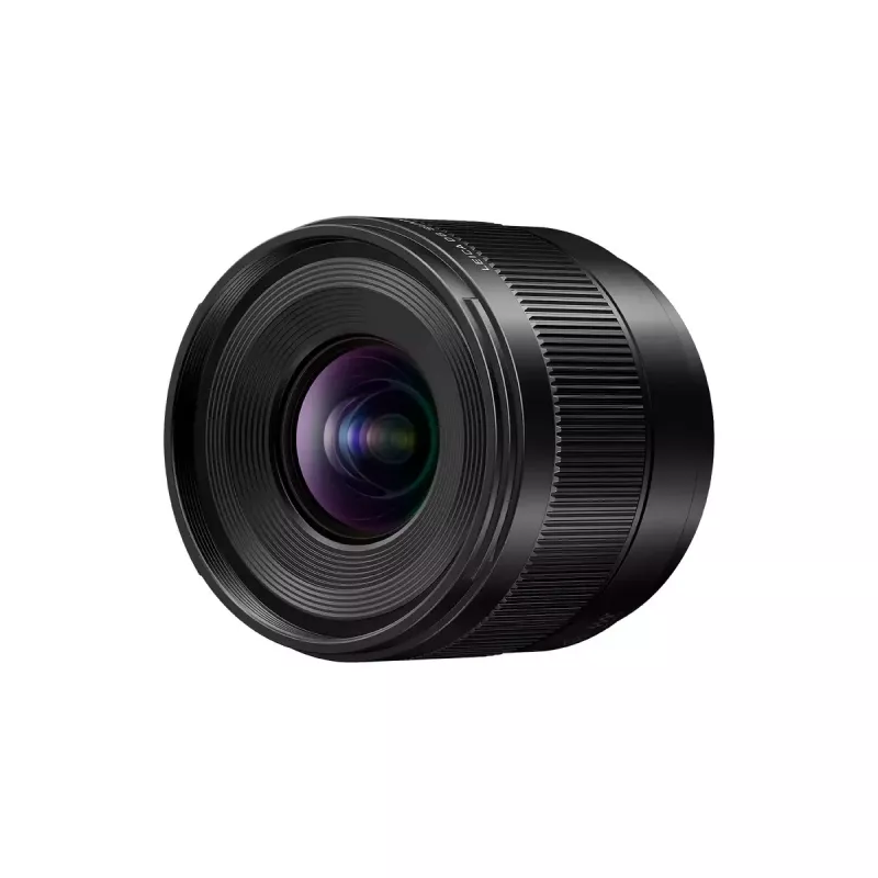 Itin plataus kampo objektyvas Panasonic H-X09 12 elementų 0,25 karto juodos spalvos