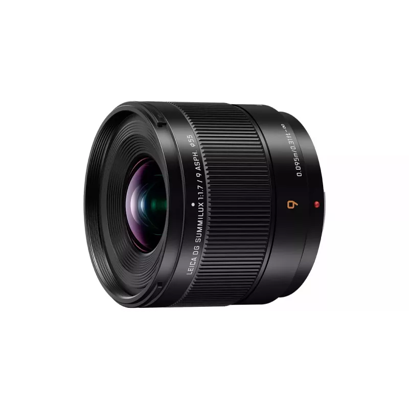 Itin plataus kampo objektyvas Panasonic H-X09 12 elementų 0,25 karto juodos spalvos