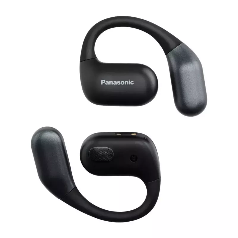Headset Panasonic RB-F10DE