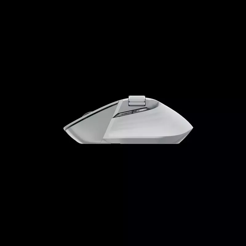 Pelė Rapoo MT760M RF Wireless + Bluetooth