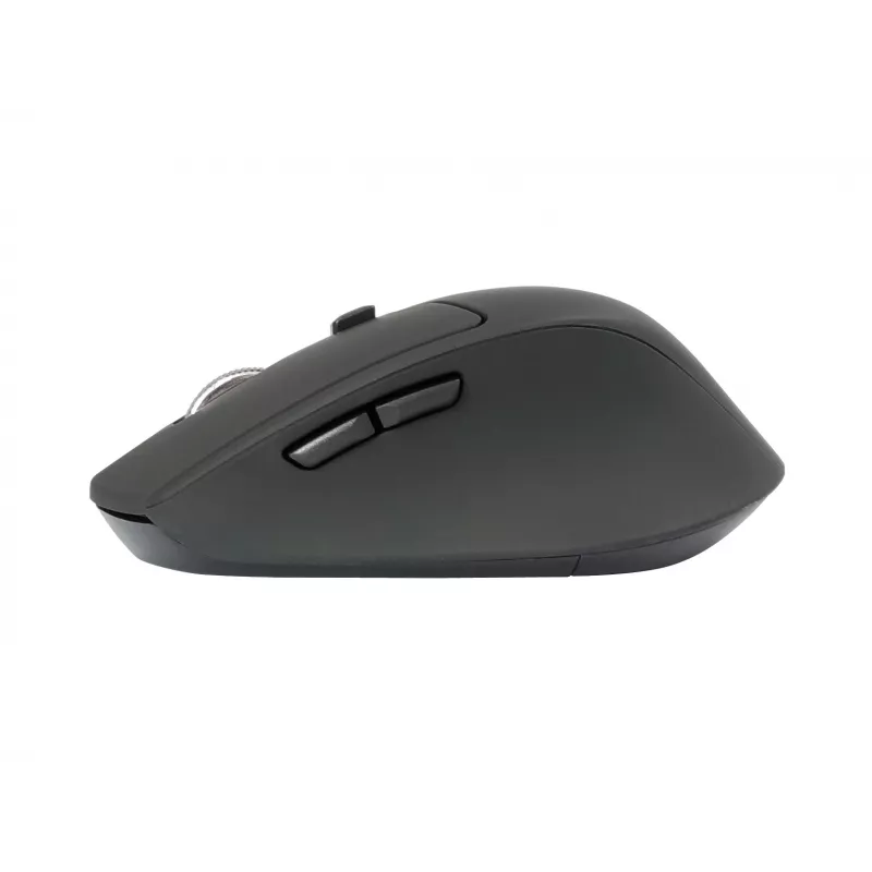Conceptronic Lorcan Ergo pelė, žaidimams, dešiniarankiams, Bluetooth, 1600 DPI