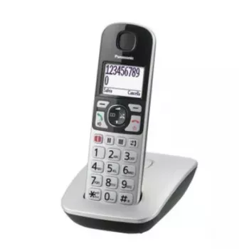 DECT telefonas Panasonic KX-TGE510GS