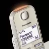 DECT telefonas Panasonic KX-TGE262GN belaidis ragelis skambintojo ID