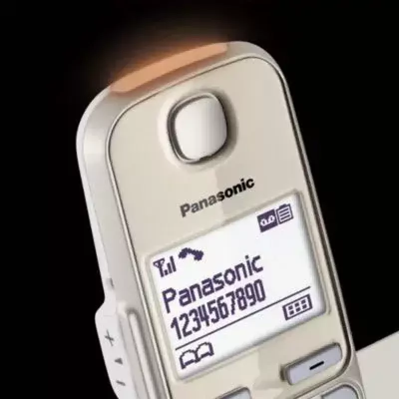 DECT telefonas Panasonic KX-TGE262GN belaidis ragelis skambintojo ID