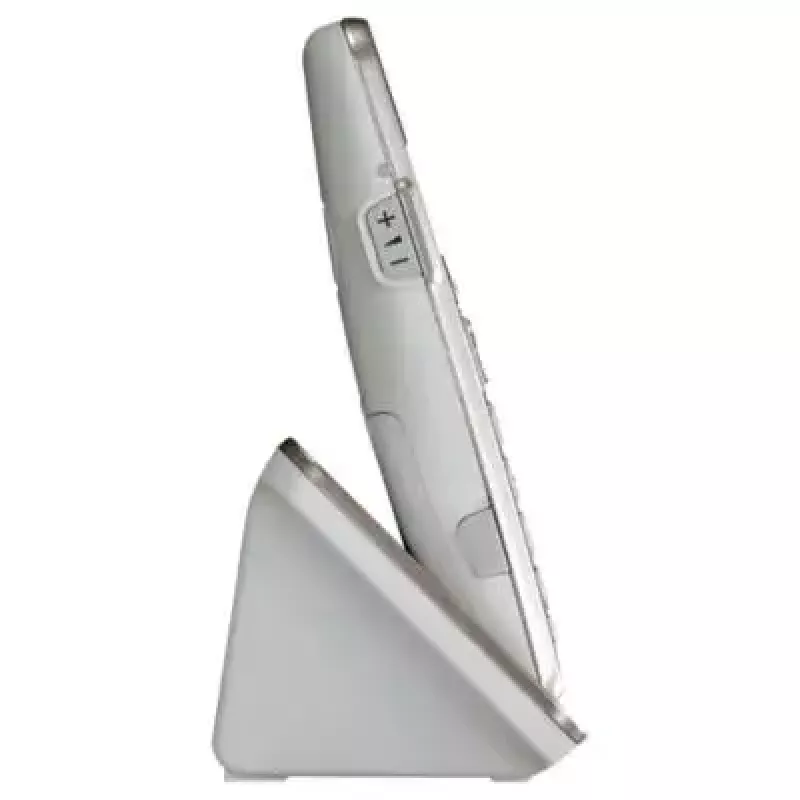 DECT telefonas Panasonic KX-TGE262GN belaidis ragelis skambintojo ID