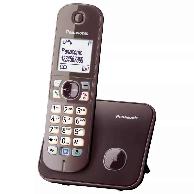 DECT telefonas Panasonic KX-TG6811GA