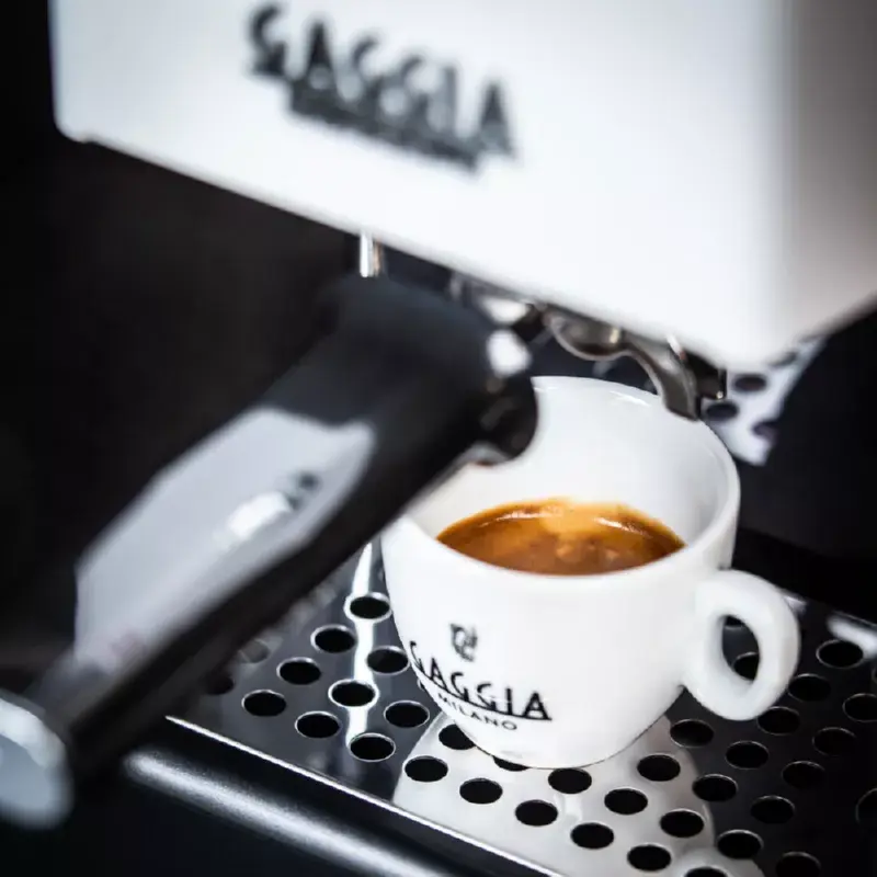 Gaggia Classic E24 Rankinis espreso aparatas 2,1 L